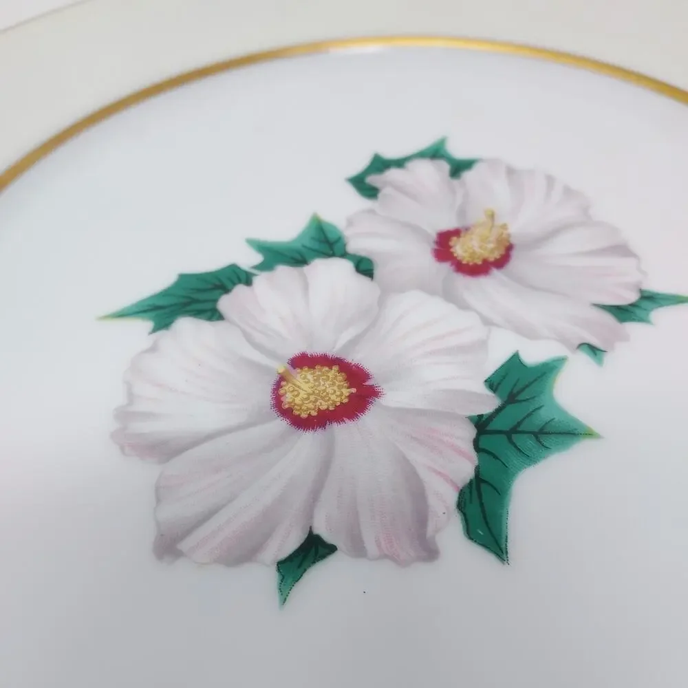 Kent Tropical Pattern Set of 2 Dinner Plates 10 5/8